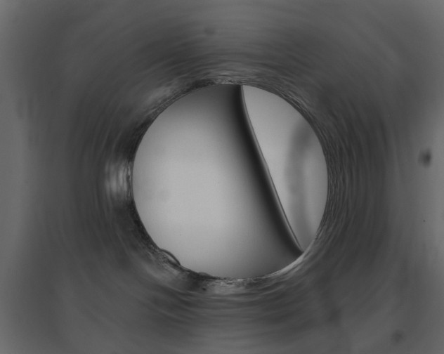 X0000096630094200802050944