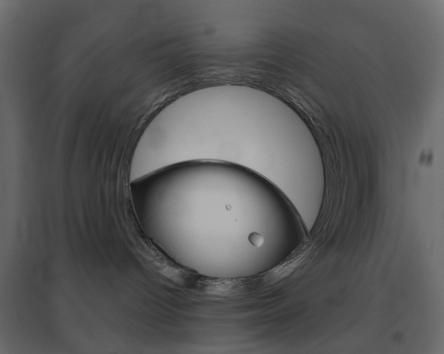 X0000096630096200802050944