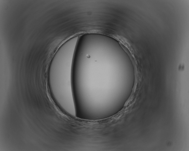 X0000096630097200802050944