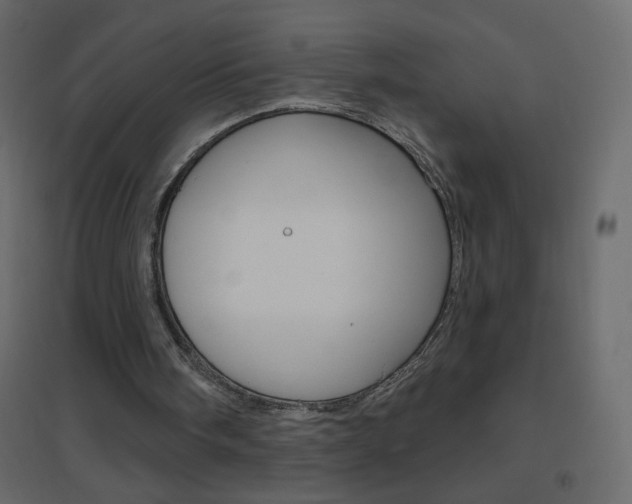 X0000096630098200802050943