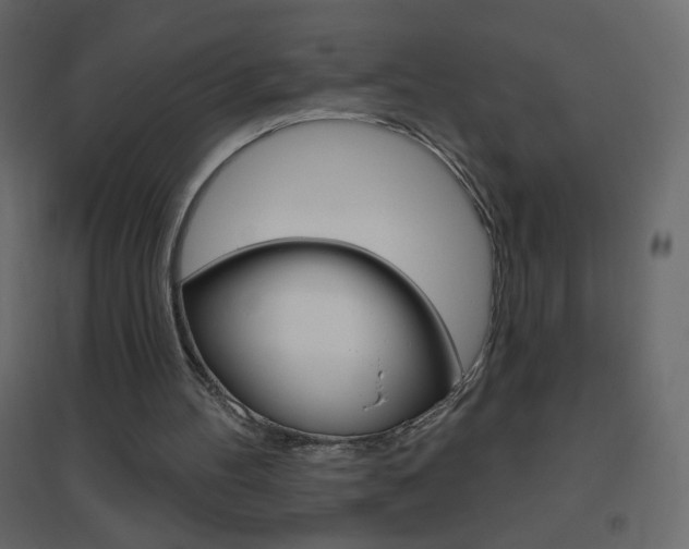 X0000096630100200802050943