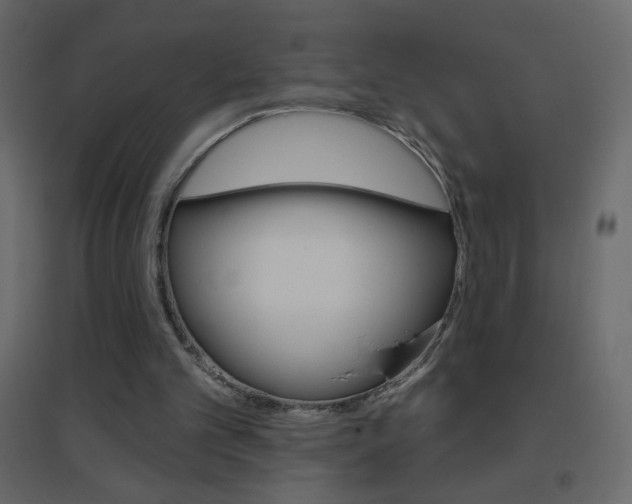 X0000096630101200802050943