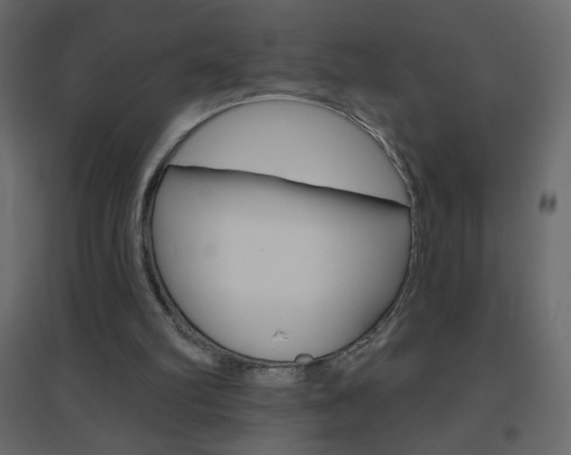 X0000096630102200802050943
