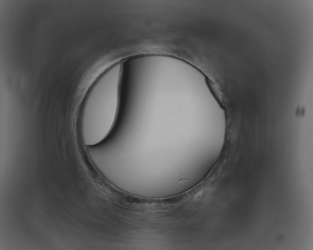 X0000096630103200802050943