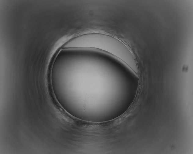 X0000096630104200802050943