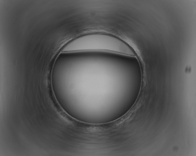 X0000096630105200802050943
