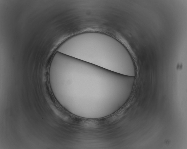 X0000096630106200802050943