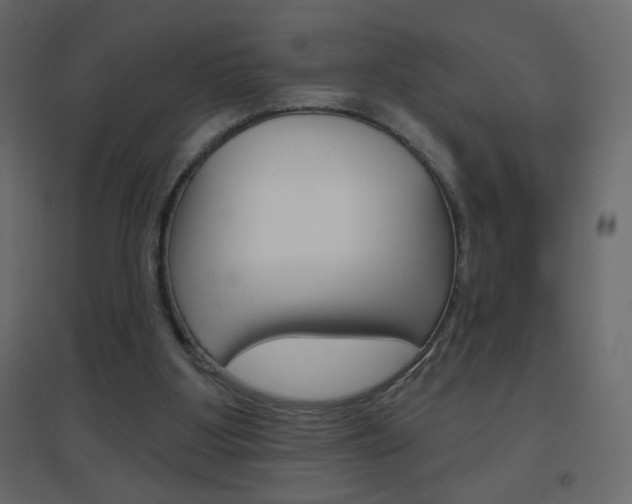 X0000096630107200802050943