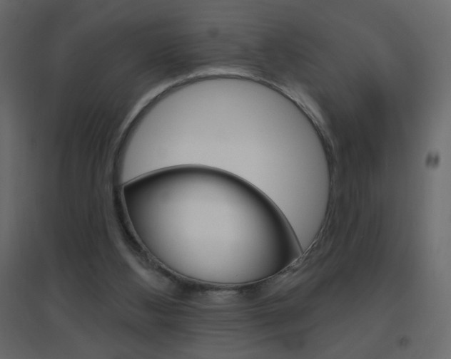 X0000096630108200802050943