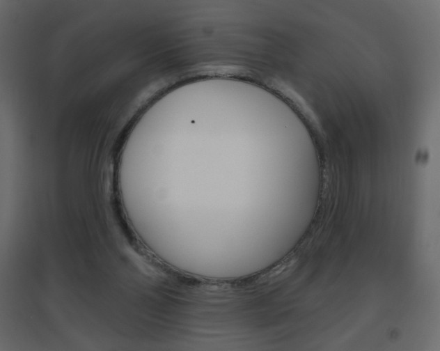 X0000096630110200802050943