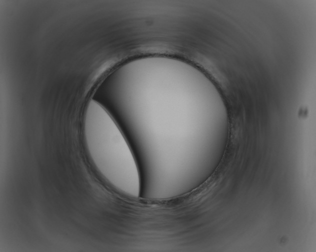 X0000096630111200802050943