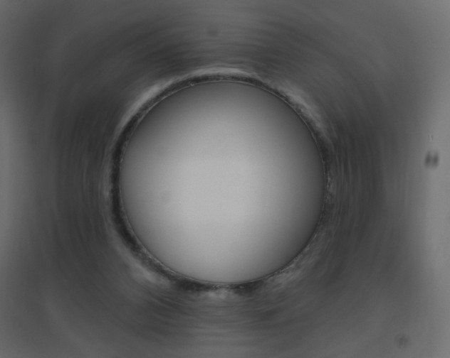 X0000096630112200802050943