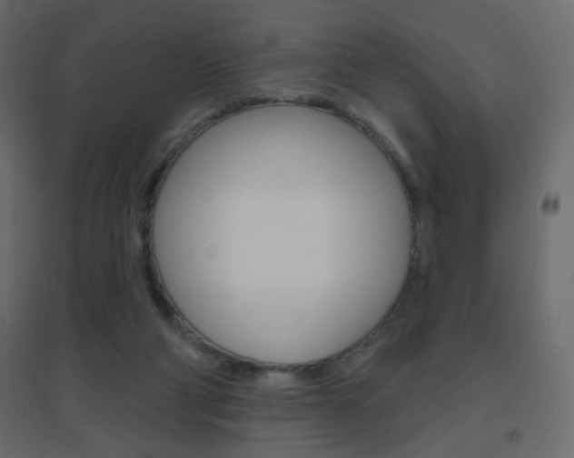 X0000096630114200802050943
