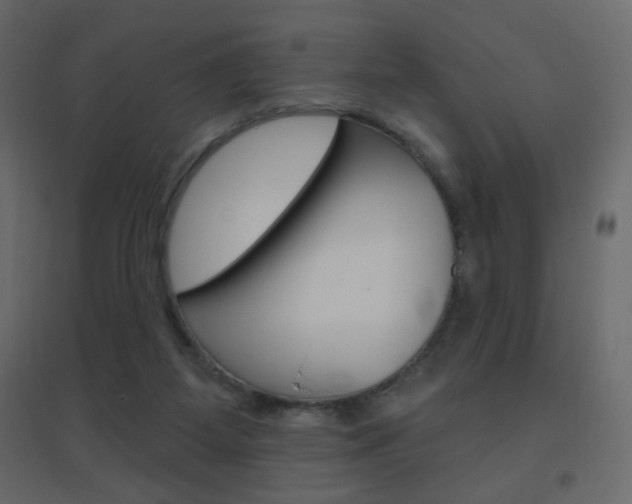 X0000096630115200802050943