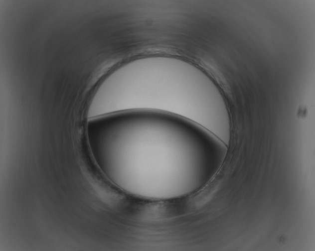 X0000096630116200802050943