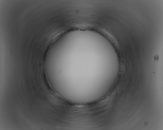 X0000096630117200802050943