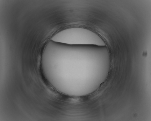 X0000096630118200802050943