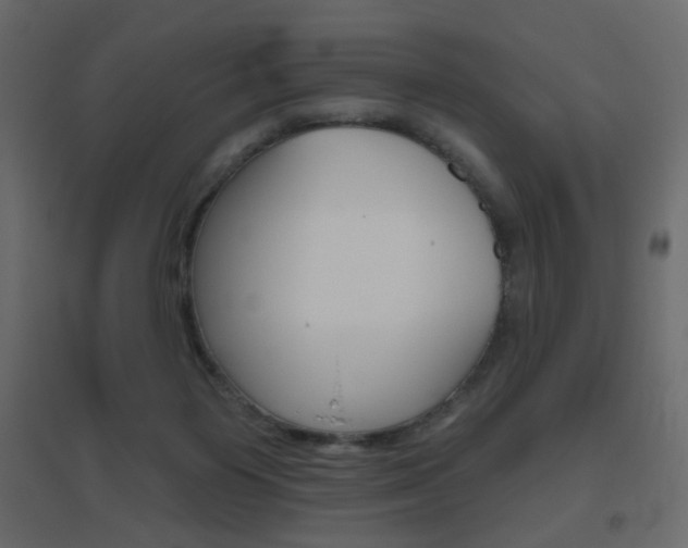 X0000096630119200802050943
