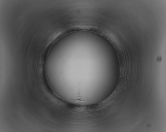 X0000096630120200802050943