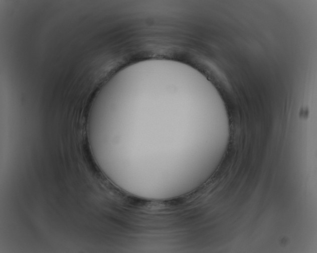 X0000096630123200802050943