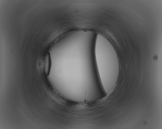 X0000096630124200802050943
