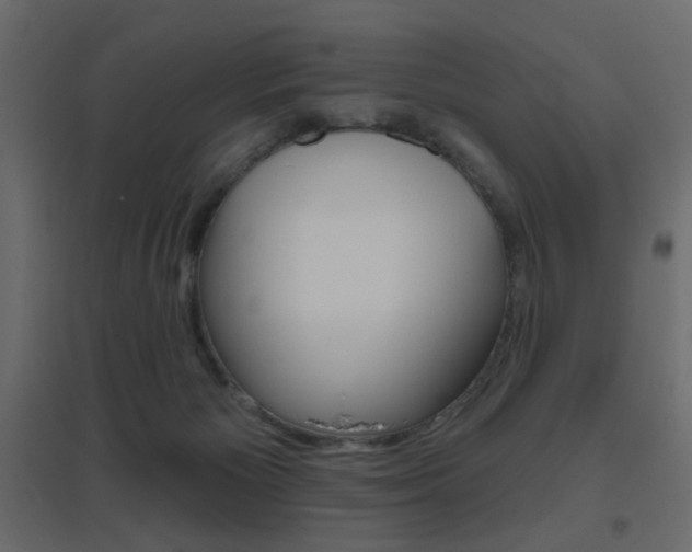 X0000096630125200802050943