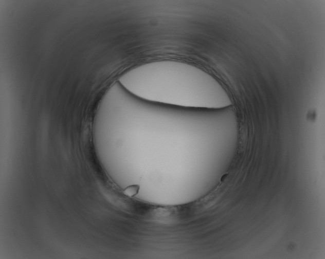 X0000096630126200802050943