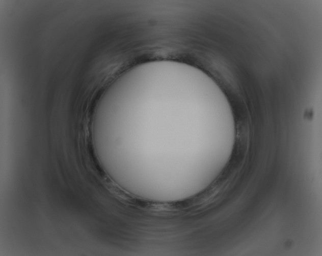 X0000096630127200802050943