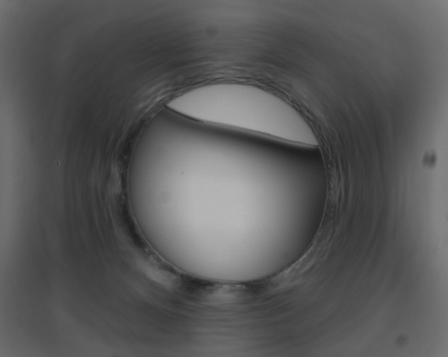 X0000096630128200802050943