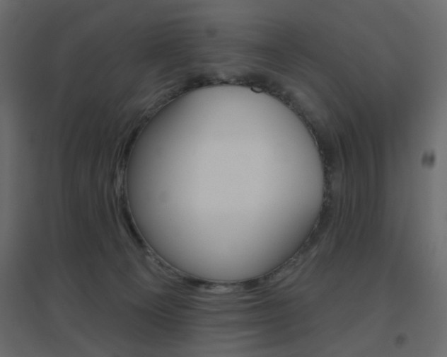 X0000096630129200802050943