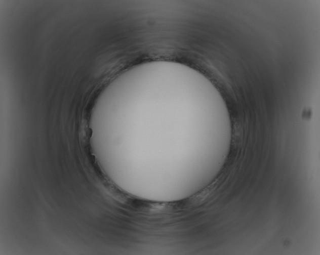 X0000096630130200802050943