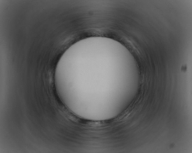 X0000096630131200802050943