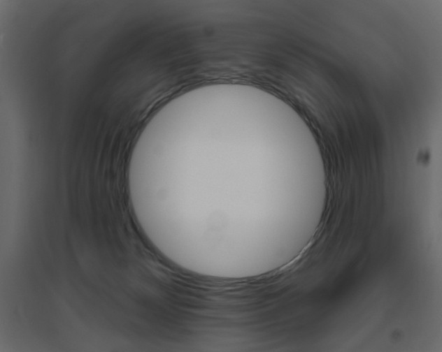 X0000096630132200802050943
