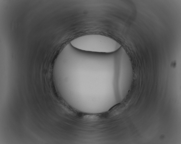 X0000096630133200802050943