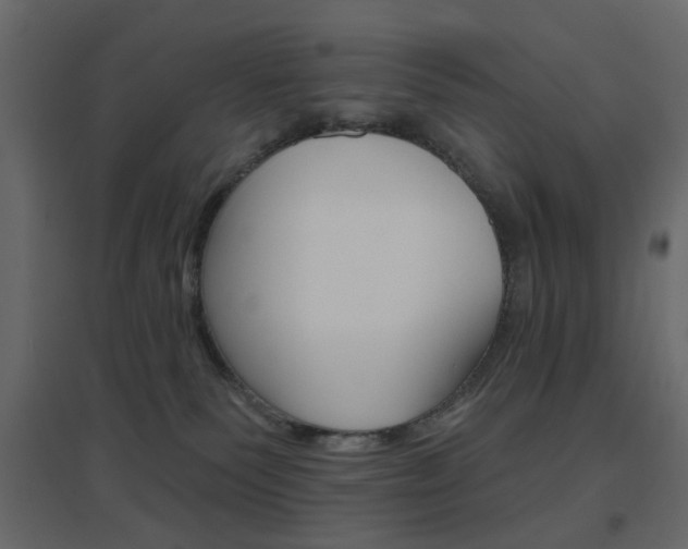 X0000096630135200802050943