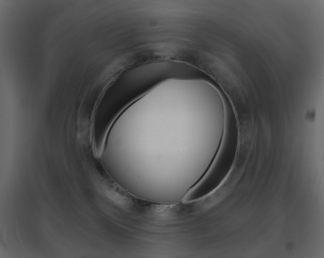 X0000096630136200802050943