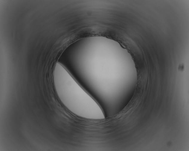 X0000096630137200802050943