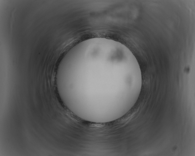 X0000096630139200802050943