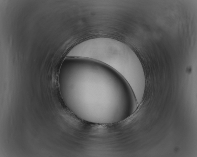 X0000096630140200802050943