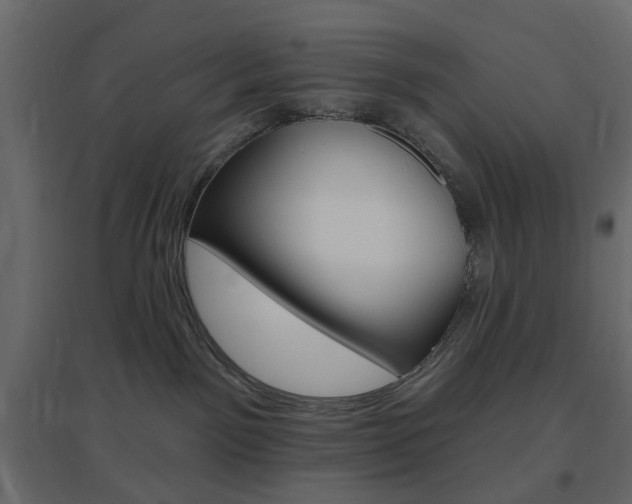 X0000096630141200802050943