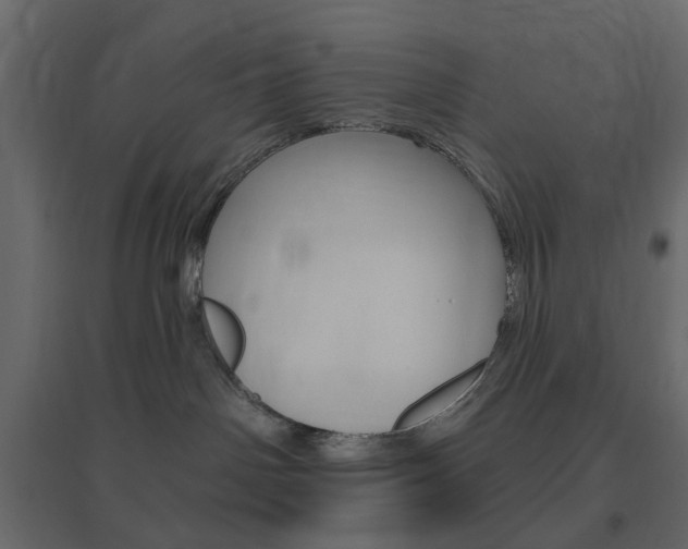 X0000096630142200802050943