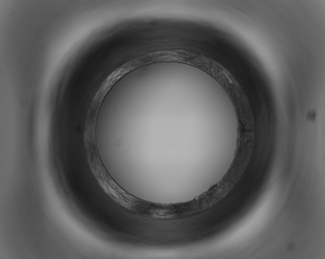 X0000096630143200802050943