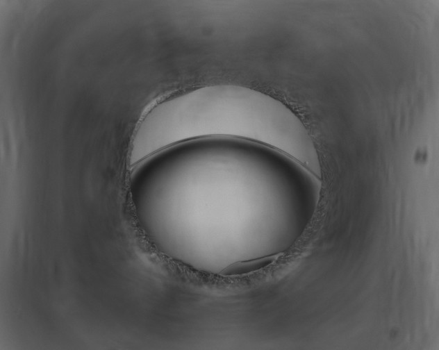 X0000096630144200802050943