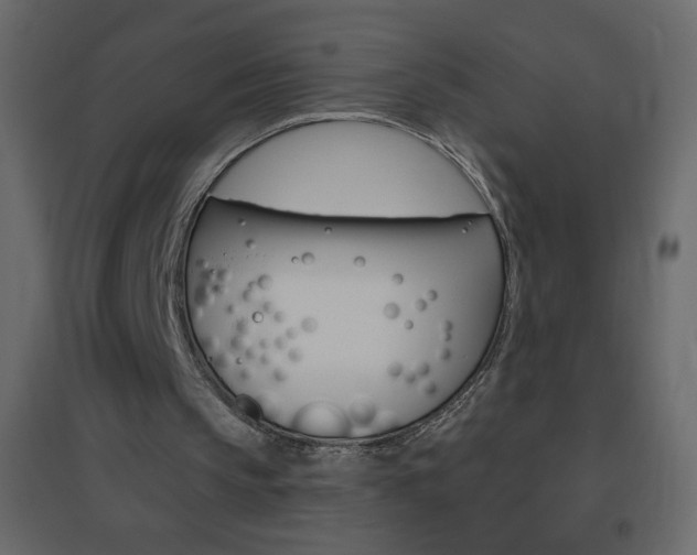 X0000096630145200802050942