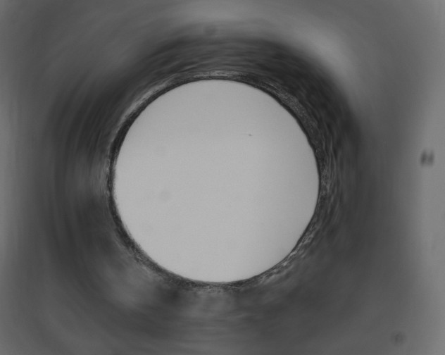 X0000096630146200802050942