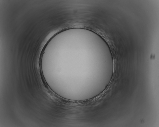 X0000096630147200802050942