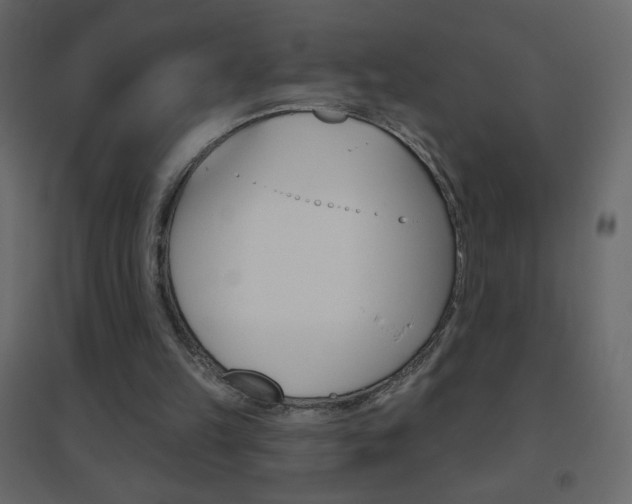 X0000096630149200802050942