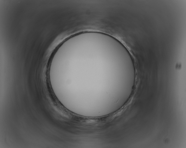X0000096630151200802050942