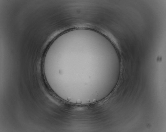 X0000096630155200802050942