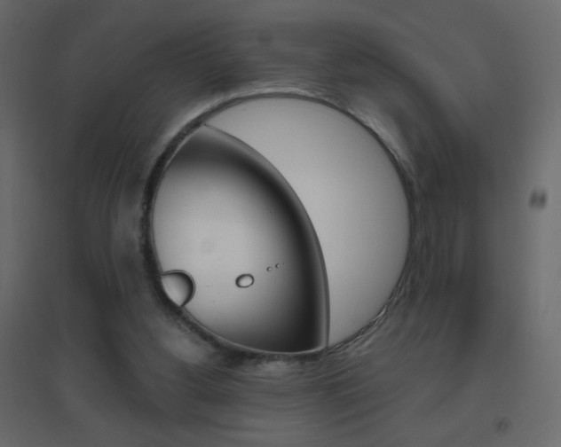 X0000096630156200802050942